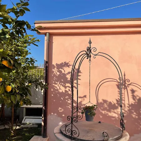 Rosa Di Mare *